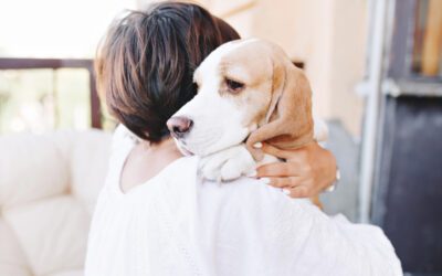 ¿Por qué tu mascota tiene miedo a los petardos o a los truenos?